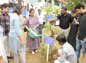 Tree Plantation 